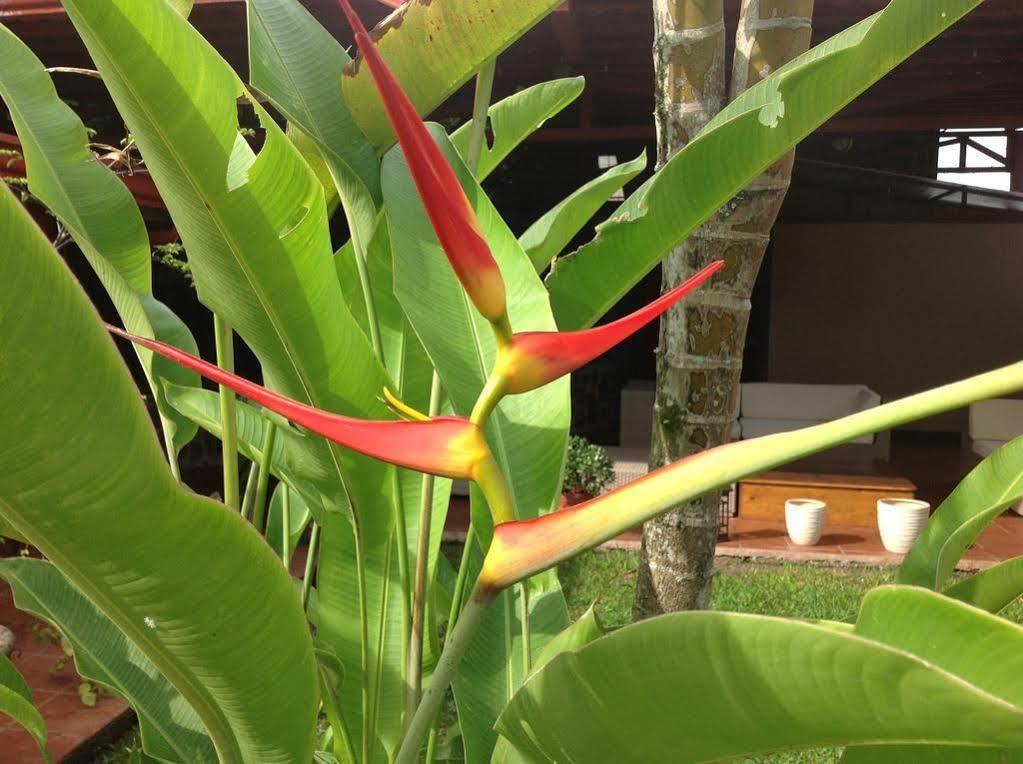 Turrialba Bed & Breakfast Esterno foto
