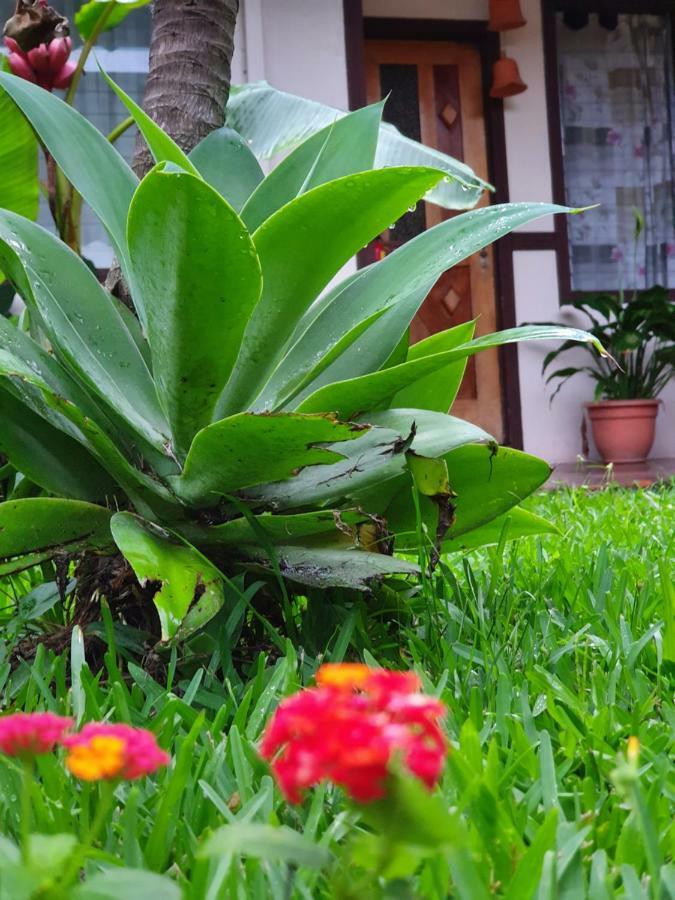 Turrialba Bed & Breakfast Esterno foto
