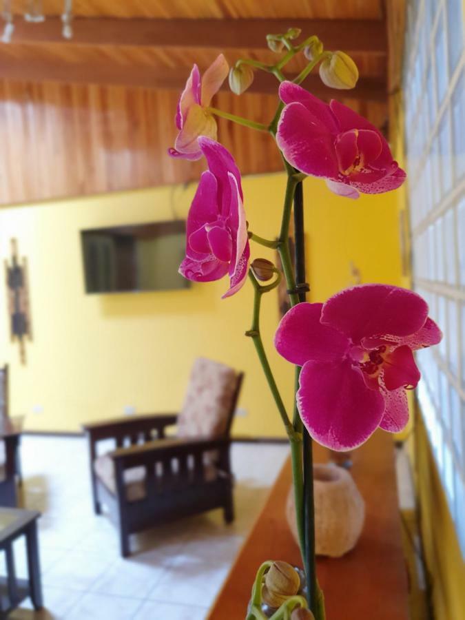 Turrialba Bed & Breakfast Esterno foto