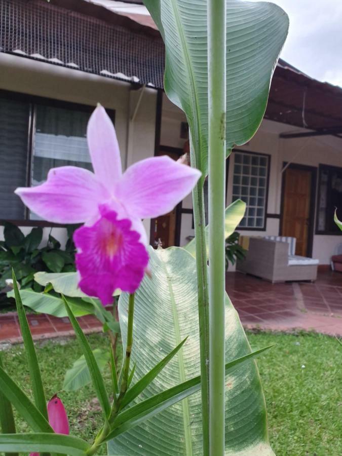Turrialba Bed & Breakfast Esterno foto