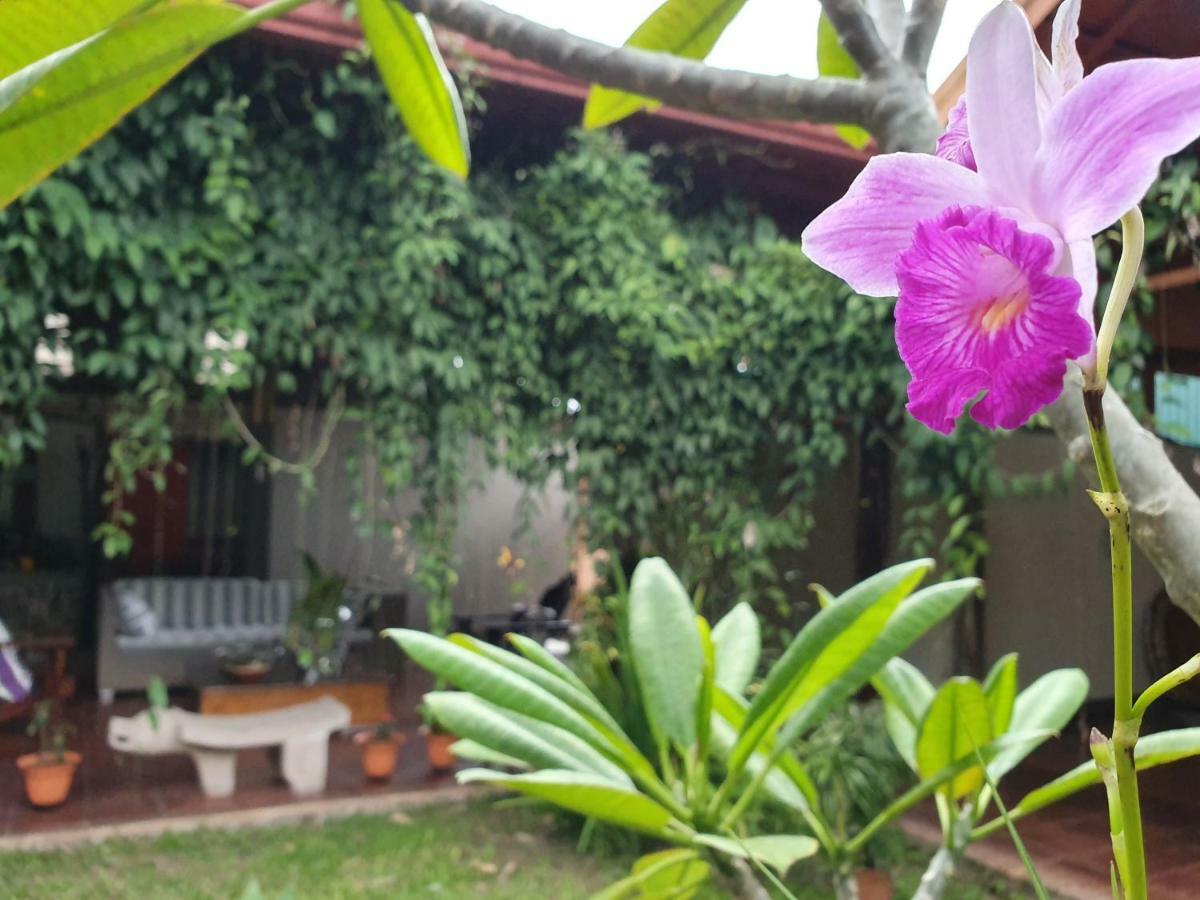 Turrialba Bed & Breakfast Esterno foto