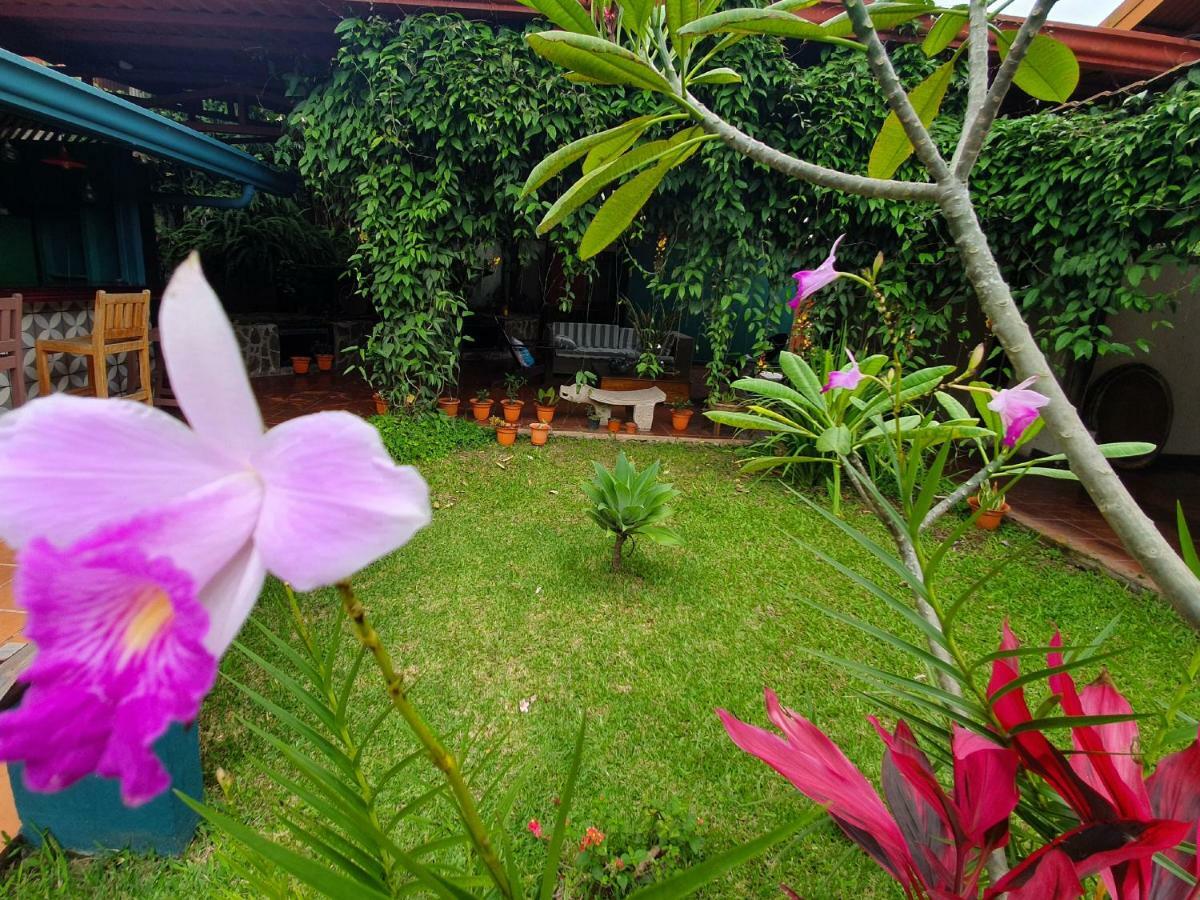 Turrialba Bed & Breakfast Esterno foto