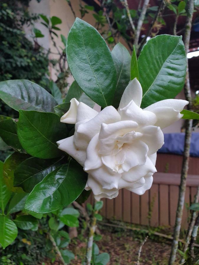 Turrialba Bed & Breakfast Esterno foto